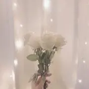 ayk.
