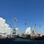 モモの画像