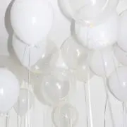まるるの画像
