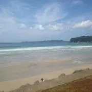 ポテト