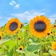 てっちゃん【プロフ必読】の画像