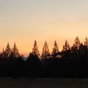 daikokuya