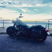 Toshiの画像