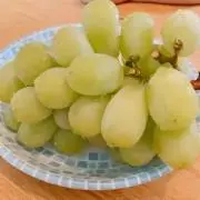 たーにゃの画像