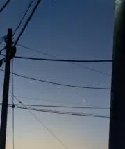 しろの画像
