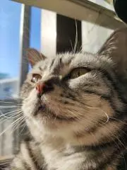 トト︎⋆fam❤︎.* 注意事項確認↓の画像