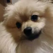 たけひこ
