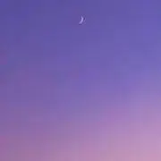 かにの画像