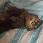 南 昇吾の画像