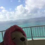 売切セール♡chobi SHOPの画像