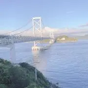 ancの画像