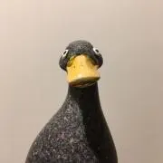dome3※プロフ必読※の画像