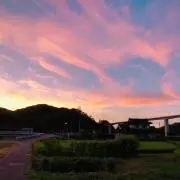 エリーの画像
