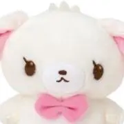 ❤︎