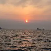 ぱむ