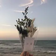 るの画像