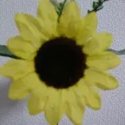 ひまわりの画像