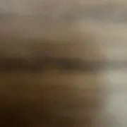白いソックスの画像