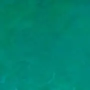 ooo