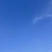 ykzの画像