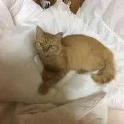 ゆーちゃんの画像