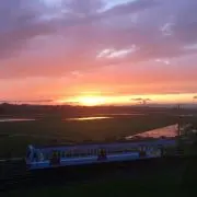 masaの画像