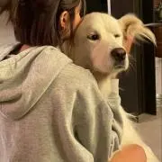 Ha 断捨離中値下げ可能です！の画像