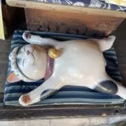 ひぃの画像