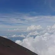 HM7