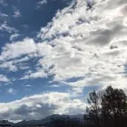 kotoneさくらの画像