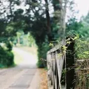 くつした工房 ＊カタコトの画像