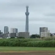 サーフスター［即購入OK］の画像