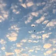 みかんの画像