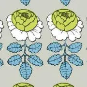 yoccoの画像