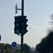 こっこの画像