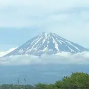 マサ
