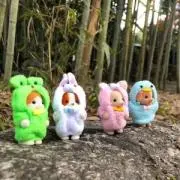 さくらの画像