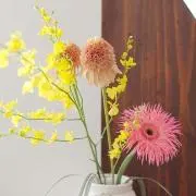 Image of はなはな