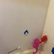 もにの画像