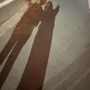 ̳^.  ̫ .^ ̳(まとめ買い歓迎)の画像
