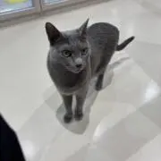 こまさんの画像