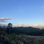 めいはくの画像