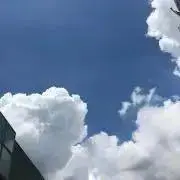 SKYの画像