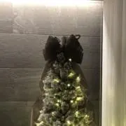 ミの画像