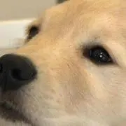 ここの画像