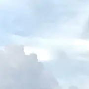 もくの画像