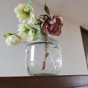 グレーの画像