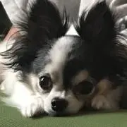 みきちゃん☆プロフ一読願います☆
