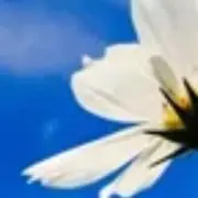 sky-⭐︎