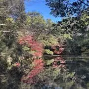 こうの画像